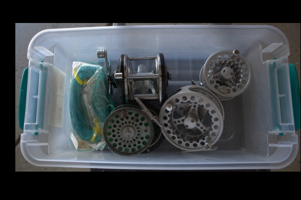 Fishing Reels
